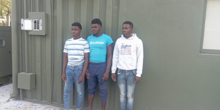 Migración detienen tres indocumentados a bordo de una camioneta placa haitiana en Copey Montecristi 
