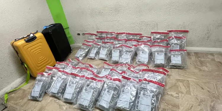 Confiscan 90 pacas de marihuana en aeropuerto de Punta Cana