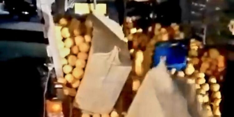 Debajo de una carga de naranjas descubren contrabando de 45,000 cigarrillos en Azua