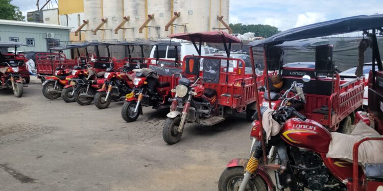 Migración ocupa 10 trimotor y detiene a sus conductores indocumentados en Dajabón 