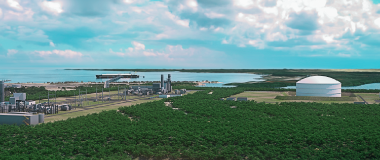 Consorcio energético destruye sector apícola Manzanillo