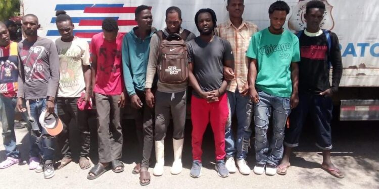 La DGM detiene 1,442 nacionales haitianos y repatría otros 1,892 en condición irregular
