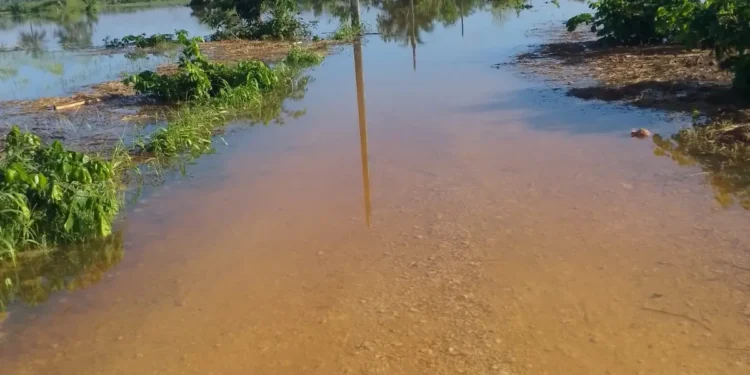 Un ahogado y un desaparecido por crecida de río