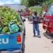 Productor varados en la frontera por cierre de puerta de Haití por celebración del día de la bandera