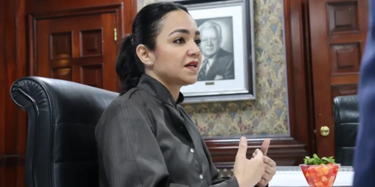 Faride Raful denuncia campaña de difamación y anuncia acciones