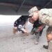 Video; Ejército descubre inmigrantes indocumentados ocultos debajo de la cola de una patana en Azua