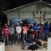 Dos grupos de migrantes indocumentados fueron interceptados en Dajabón y Montecristi