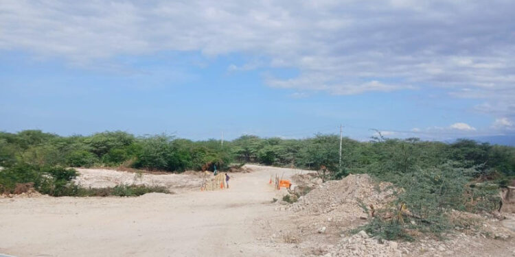 Reclaman apoyo para agricultores y ganaderos afectados por aguaceros en Independencia