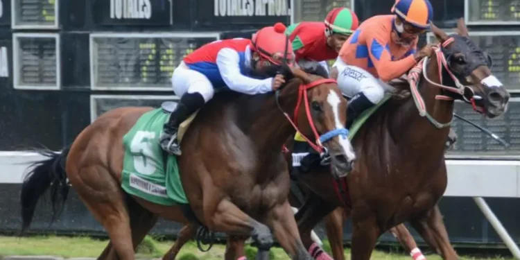 El Pool pagó con 5 y 4 en el Hipódromo Quinto Centenario