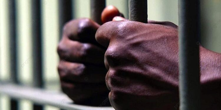 Arrestan a miembros banda haitiana que buscaban drones en RD para atacar en Haití