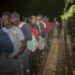 Ejército intercepta grupo de 30 inmigrantes indocumentados en zona rural de Villa Vásquez