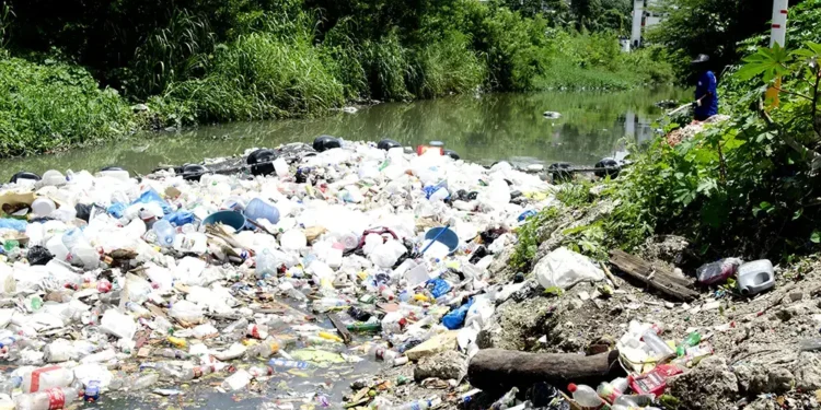 RD frente al espejo en el Día Mundial del Medio Ambiente