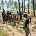 Ejército detiene haitianos indocumentados por depredación al medio ambiente en Dajabón