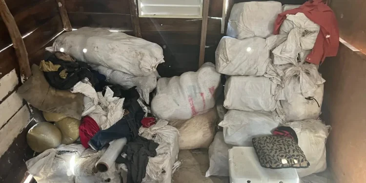 DNCD confisca cargamento de 1, 303 libras de presunta marihuana