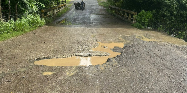 Deploran inacción de Obras Públicas en Puerto Plata, vías terrestres continúan deteriorándose