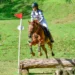 Ieromazzo logró el primer lugar del Crosscountry de Ecuestre