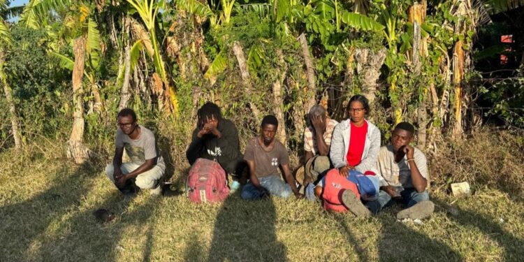 Detienen hombre en camión cargado de madera sin documentación legal en Montecristi