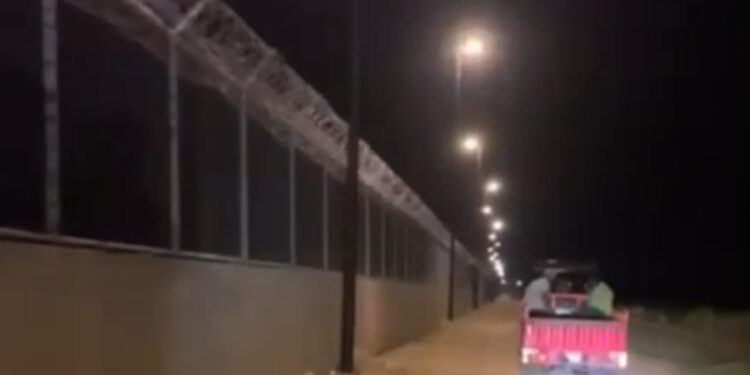 Cuatreros intentan cruzar Haití ganado robado en Saladillo Manzanillo