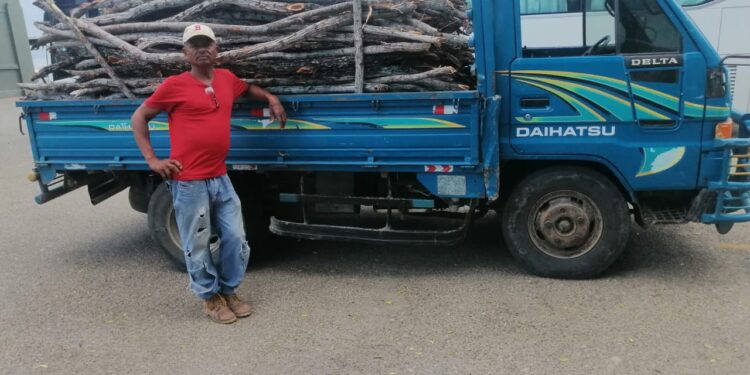Detienen hombre en camión cargado de madera sin documentación legal en Montecristi