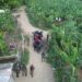 Con drones Ejército localiza y detiene a 17 haitianos indocumentados que se ocultaban en un platanal en Mao
