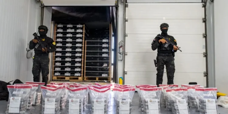DNCD frustra envío de 120 paquetes de cocaína ocultos en contenedor de bananos en Caucedo