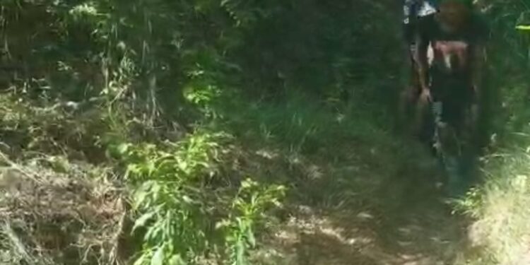 Ejército detiene 19 indocumentados en puesto de chequeo El Guanal en Santiago Rodríguez