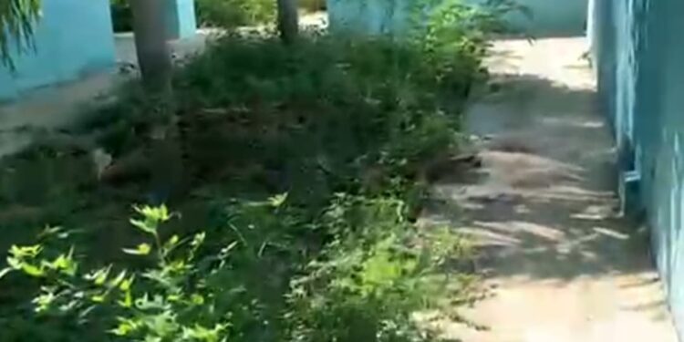 Denuncian abandono de estructura de policlínica  del Servicio Nacional de Salud  en la Vigía Dajabón