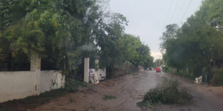 Ventaron y lluvias provocaron apagón, derribo de árboles, techos y daños a la agricultura en Dajabón