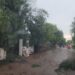 Ventaron y lluvias provocaron apagón, derribo de árboles, techos y daños a la agricultura en Dajabón