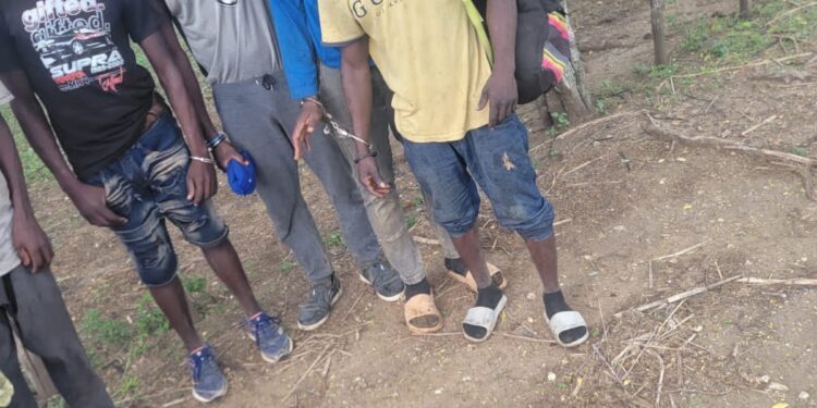Patrulla del Ejército detiene a 38 haitianos indocumentados e incauta motocicletas en Valverde