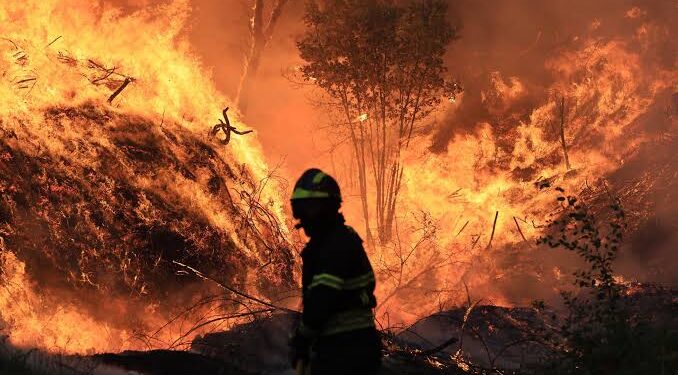 Unos 529 bomberos y 13 medios aéreos combaten fuego en la Serra da Estrela en Portugal