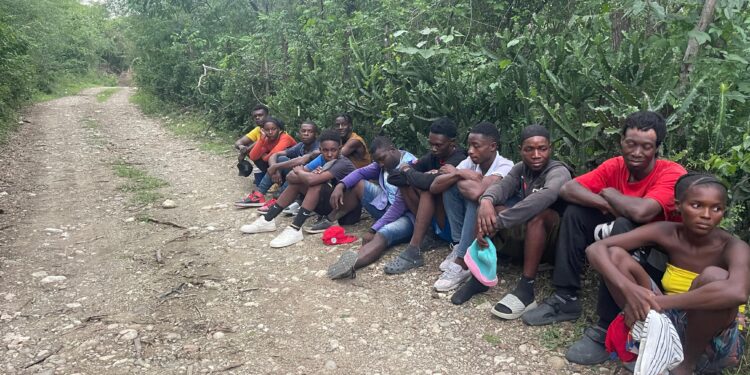 Ejército detiene a 12 haitianos indocumentados localizados con drones en Pedro Santana