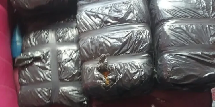 Decomisan ocho pacas de presunta marihuana en Azua
