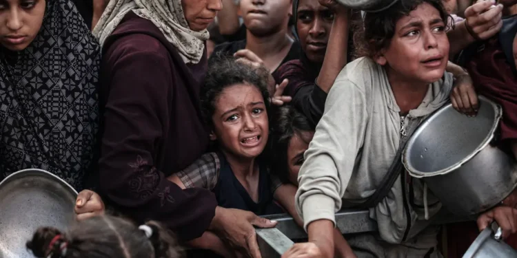 Comisión de la ONU: Israel comete genocidio en Gaza