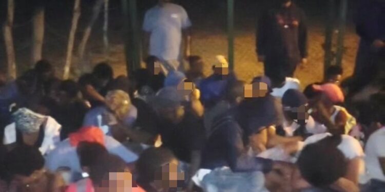 DGM Intercepta a 84 haitianos indocumentados escondidos en una zona boscosa de Montecristi