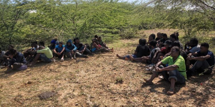 Ejército localiza y detiene a 36 haitianos durante operativo con unidades de drones en Guayubín, Montecristi