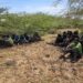 Ejército localiza y detiene a 36 haitianos durante operativo con unidades de drones en Guayubín, Montecristi