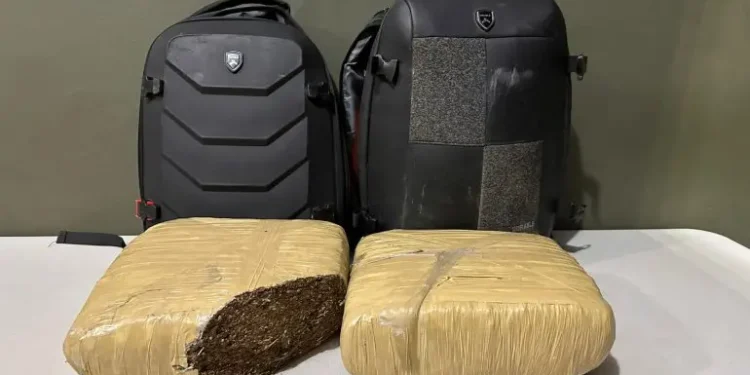 Ejército ocupa 19 libras de presunta marihuana en los Miches Dajabón