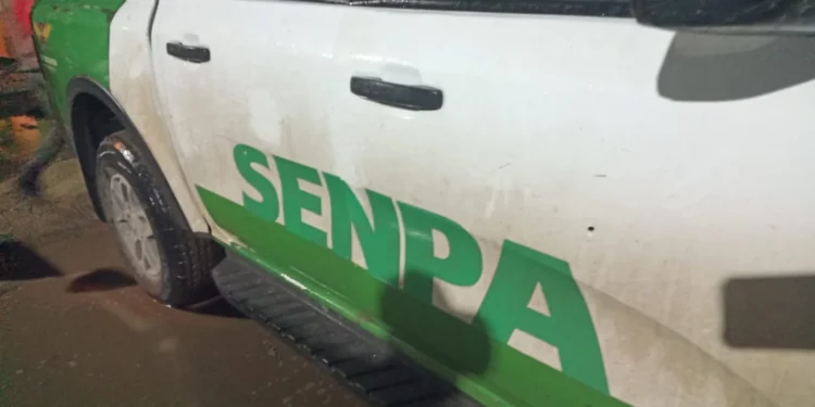 Medio Ambiente y SENPA informan sobre incidente ocurrido en operativo en Yaguate