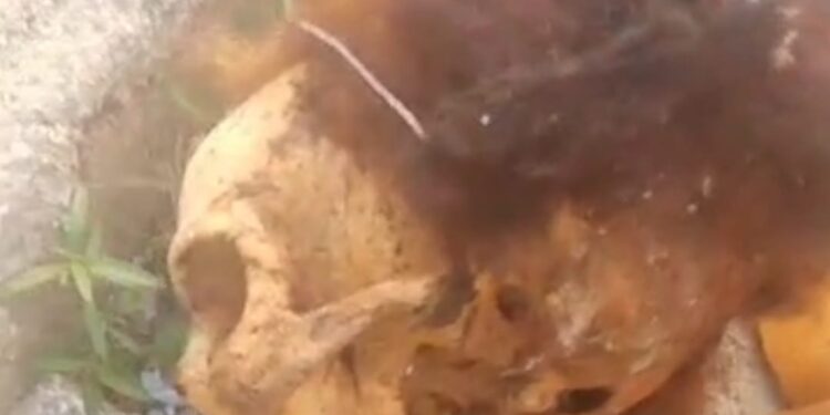 Encuentran osamenta humana fuera de su tumba en cementerio de Dajabón
