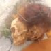 Encuentran osamenta humana fuera de su tumba en cementerio de Dajabón