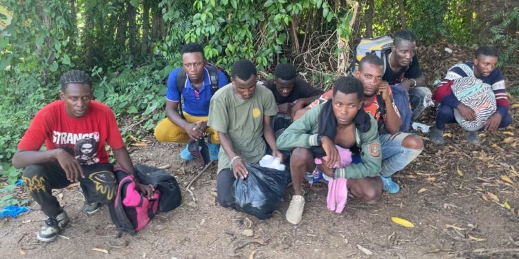 Ejército detiene 8 nacionales haitianos que se escondían en platanal de Valverde y 19 en matorrales por Manzanillo