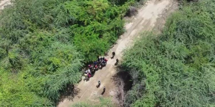 Ejército detecta con drones grupo de 22 extranjeros indocumentados que se ocultaban en bosques de Palo Verde, Montecristi