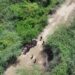 Ejército detecta con drones grupo de 22 extranjeros indocumentados que se ocultaban en bosques de Palo Verde, Montecristi