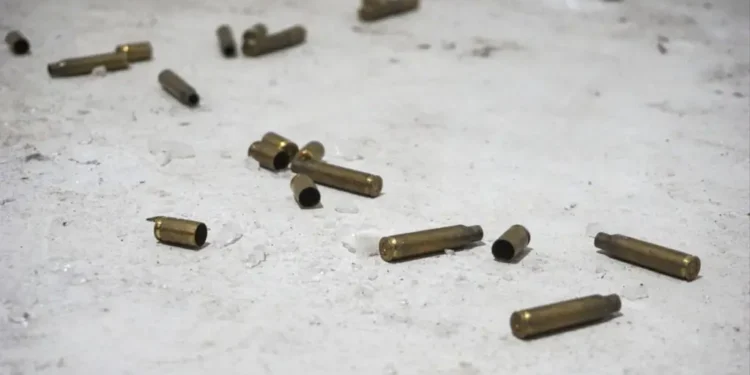 Matan a dos mujeres a balazos en sectores de Santiago
