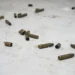 Matan a dos mujeres a balazos en sectores de Santiago