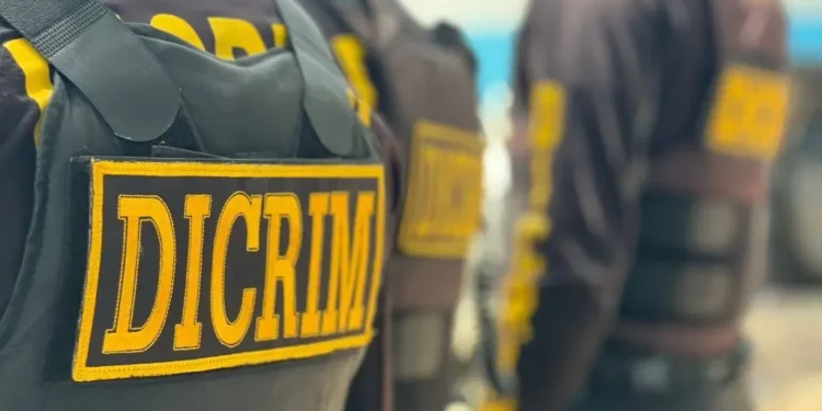 DICRIM recupera varias armas de fuego en las últimas 24 horas