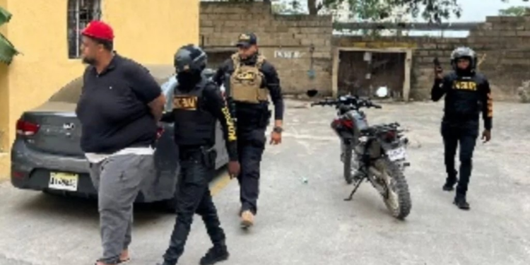 Imponen un año prisión a un hombre envenenó animales