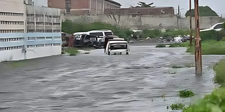 Jamaica sufre un brote de leptospirosis tras el paso del huracán Melissa