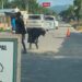 Reclamo popular: reconstruyen policías acostados en comunidad los Miches Dajabón